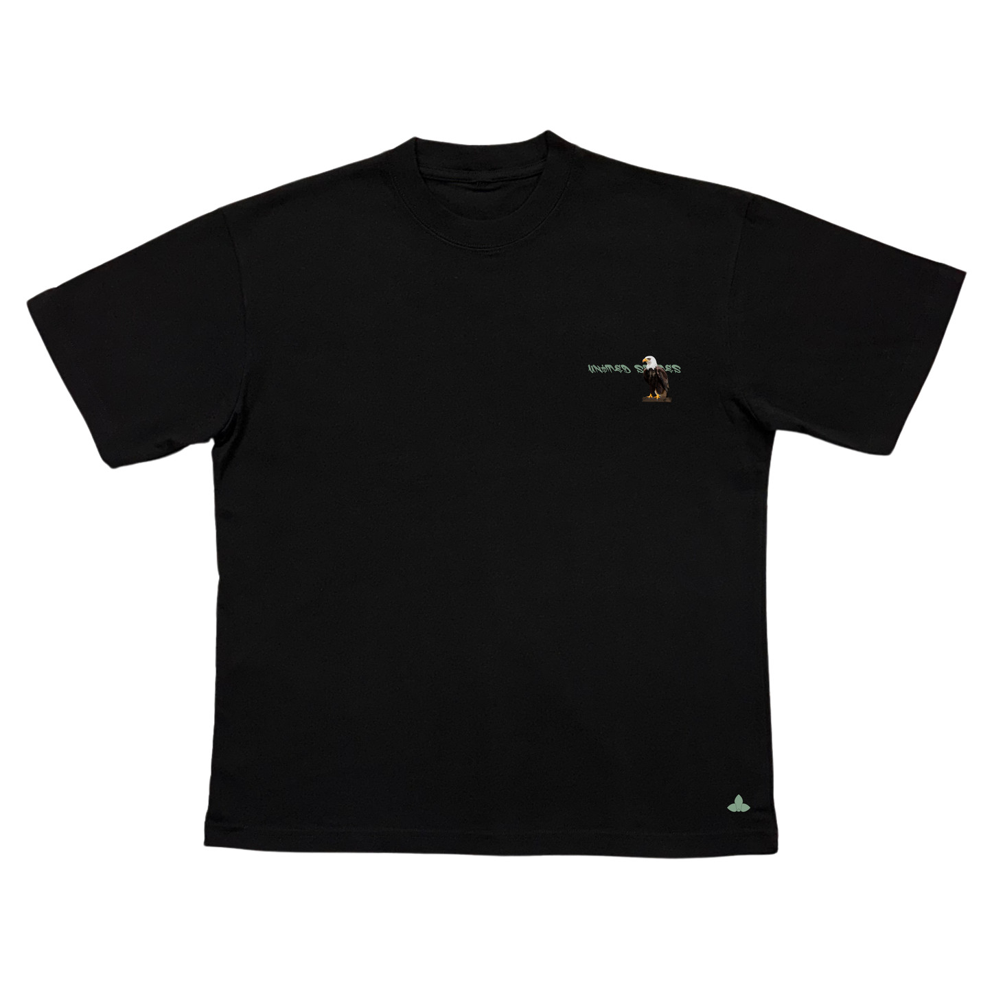 USA Graffiti & Culture T-Shirt – Oversized Tee with Bald Eagle